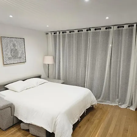 Duplex Penthouse 7pers Parking Disneyland Paris Rer A アパート